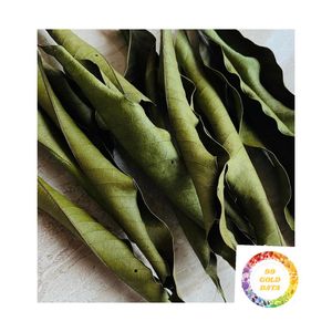 ใบมะม่วงอบแห้งแท้ ปี 2026 จากเวียดนาม ราคาดีที่สุด ขายส่ง ชาสมุนไพรใบมะม่วงอบแห้งแบบเป็นมัด - Product Image 1