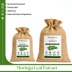 Extracto de Hoja de Moringa – Extracto Botánico Natural de Primera Calidad para Fabricación de Cosméticos, Cuidado Personal y Venta al por Mayor a Nivel Mundial - Product Image 4