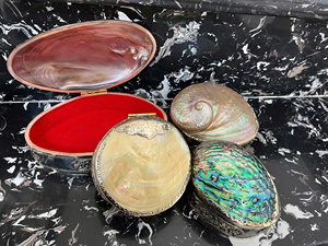 Premium Polished Thick Mother of Pearl Shell Material - Black Yellow Shell Best Price For Wholesale - Product Image 5