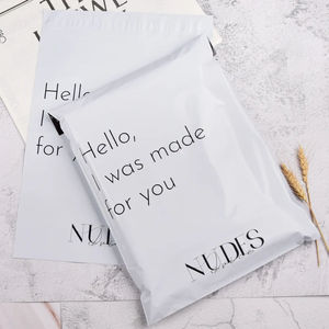 Bolsas de Papel para Envíos Ecológicas Personalizadas, Impermeables, para Ropa, Sobres para Mensajería, Envío Exprés, Precio Razonable - Product Image 2
