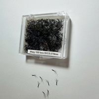 Extensions de cils Promade faites à la main, volume 2D-20D, courbure C CC D, mixtes, longueurs variées, base pointue, 0,07 mm