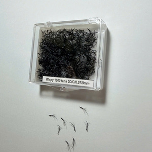 Extensions de cils Promade faites à la main, volume 2D-20D, courbure C CC D, mixtes, longueurs variées, base pointue, 0,07 mm - Product Image 5