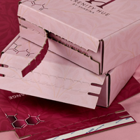 Boîte d'expédition en carton ondulé kraft en forme d'avion, écologique, recyclable, avec fermeture éclair et logo