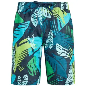 Grafische Mesh Shorts Borduurpatroon Performance Shorts Mannen Strand Sublimatie Print Zwemshorts Heren