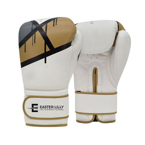 Guantes de Boxeo de Material Resistente, Equipo de Entrenamiento de Boxeo, Guantes de Boxeo Recién Llegados - Product Image 1