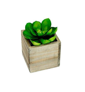 Maceta Ecológica de Madera para Plantas de Interior, Acabado Natural, en Oferta - Product Image 2