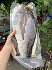 Filetes de Pescado Basa Secos IQF Naturales (Cuerpo) Conservados en Sal, Pangasius Premium, Exportación al por Mayor - Product Image 2