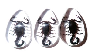Black Scorpion Real Specimen Plastic Cabochon Pear Cut <b>Top</b> 46x30 mm Clear Flat Bottom for Crafts and Jewelry Making - Product Image 5