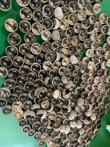 Pot en coquille de noix de coco fait main, écologique, pour la fabrication de bougies en gros / Porte-bougie en coquille de noix de coco - Product Image 3