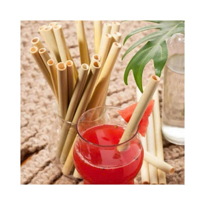 Pailles en bambou premium pour hôtels, restaurants, cafés et emballages de boissons - Product Image 1