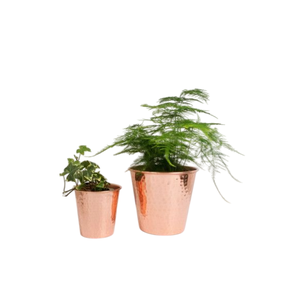 Pot de fleurs en métal de haute qualité, design moderne, doré, écologique, suspendu, pour plantes et herbes, décoration de jardin extérieur et intérieur - Product Image 4
