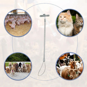 Precio de fábrica: Herramienta retráctil de control de animales, poste de acero inoxidable duradero para cazar perros y cerdos, equipo agrícola. - Product Image 2