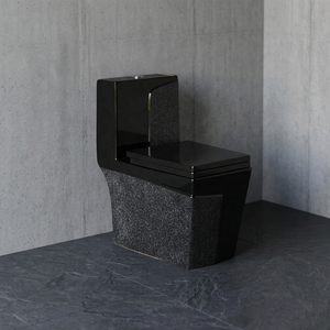 WC monobloc en céramique moderne du Gujarat avec abattant hydraulique et raccords, chasse d'eau double, pour usage extérieur - Product Image 1