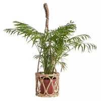 Panier suspendu moderne en fer pour balcon, support de pot de fleurs avec crochets, support de plante rond en métal pour intérieur et extérieur