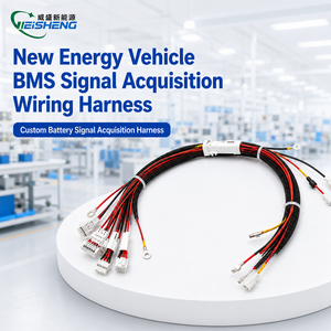 Harnais de collecte de signal BMS isolé en PVC/PTFE sur mesure pour batteries de stockage d'énergie automobiles/électroniques OEM - Product Image 1