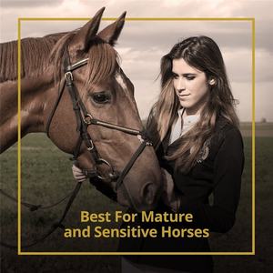 Protège-chaîne en gel noir caoutchouc pour cheval de soins - Product Image 6