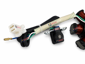 Pièces détachées moto très demandées : Nouvelle bobine de stator à 2 trous pour Hero Honda Super Splendor Glamour, Inde - Product Image 2