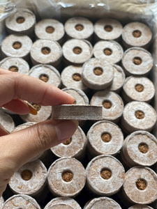 Bloques de Fibra de Coco Natural Pura de Alta Calidad para Plantación |   Semillas Ecológicas Sostenibles al por Mayor BLUE LOTUS FARM Ben - Product Image 4