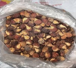Dried Soap Nut Fruit Plant Extract Freeze Dried Powder Natural Fabric Cleaner Eco Friendly Detergent Ingredient Cosmetic Grade - Product Image 2