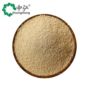 Chiết xuất men Nucleotide cao, thích hợp cho gia vị, đồ uống có cồn và thức ăn gia cầm, giá bán buôn - Product Image 1