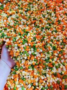 Légumes surgelés mélangés de qualité supérieure pour la transformation alimentaire et les plats préparés |   Mélange de carottes, de pois et de haricots verts IQF - Ms. Grace - Product Image 4