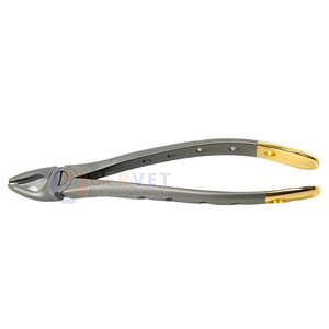 Pinzas de Extracción Dental Premium F1, Pinzas Universales Atraumáticas para Extracción de Dientes Superiores con Agarre Profundo y Mango Dorado Gervet - Product Image 3