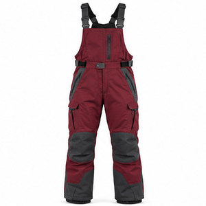 Waterproof Men Snow Bib <b>Pants</b> Insulated Winter Bib Overalls For Skiing Snowboarding Outdoor Sports Custom <b>Thermal</b> Apparel - Product Image 1