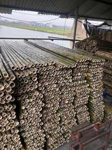 Raw natural bamboo poles from Vietnam <b>for</b> construction projects <b>decorative</b> <b>garden</b> <b>fencing</b> systems agricultural plant support - Product Image 4