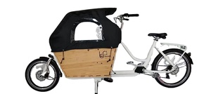 Vélo cargo électrique à moteur arrière pour livraison et transport familial (bébé) - Offre spéciale - Product Image 2