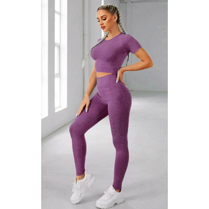 Women's 2 Piece Yoga Set Seamless Athletic Workout Outfit Gym Fitness Activewear Sports Bra & High Waist Leggings Yoga Wear - Product Image 1