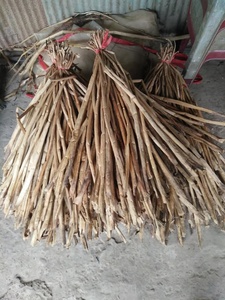 ผักตบชวาแห้งธรรมชาติจากเวียดนาม สำหรับงานสานและเฟอร์นิเจอร์ คุณภาพส่งออก เกรด A ผู้จัดจำหน่าย 21 ANGLE - Product Image 5