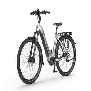 จักรยานไฟฟ้าขายดีที่สุด Ecobikes LX 400 สีเงินอาร์กติก - Product Image 1