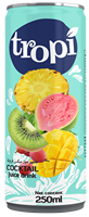 250ml Private Label Vietnam Gratis Sample Design Tropisch Fruit Sap met smaak van sinaasappel, appel, ananas, mango, suikerriet en watermeloen