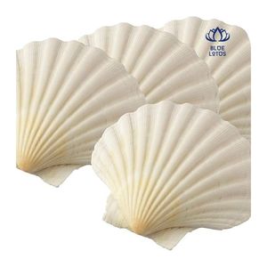 Poudre de coquille de palourde la plus vendue en 2026 pour le traitement de l'eau et source de calcium, qualité export OEM ODM, vente en gros - Product Image 3