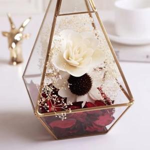 Terrario de Vidrio con Marco de Metal Dorado de Forma Geométrica, Tamaño Pequeño, Decorativo, para Mesa, Hogar, Oficina, Cafetería, Estilo Indio - Product Image 2