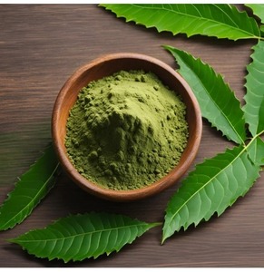 Poudre de feuilles de Neem naturelle, extrait végétal pur, qualité alimentaire, séchée par pulvérisation, soigneusement traitée, pour formules cosmétiques et soins personnels - Product Image 2