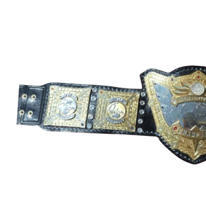 Ceinture de champion du monde de la lutte personnalisable, plaquée or de qualité supérieure, avec sangle en cuir noir - Product Image 3