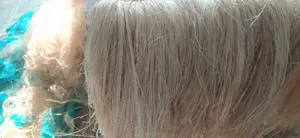 Fibra de Plátano Blanca Pura, Marca CRADLE of LIFE de Jharkhand, Materia Prima para la Industria Textil - Product Image 2