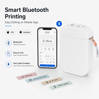 Imprimante d'étiquettes thermiques Bluetooth portable OEM D11 15 mm, mini-étiqueteuse pour la personnalisation de marques en vente au détail et au bureau, vente en gros