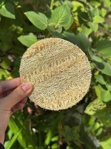 High Quality Natural Loofah <b>Scrubber</b> Single Soft Layer Pad Customizable Size Vietnam Farm Grown OEM Packaging Wholesale Export - Product Image 2
