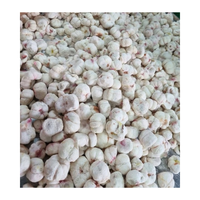 Gefreeze-droogde mangosteen, hele vruchten, gezonde snack, lange houdbaarheid, groothandel
