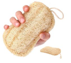 Esponja de Baño de Luffa Natural, Exfoliante Corporal Ecológico, Fabricante Directo al por Mayor, Personalizable OEM - Product Image 1