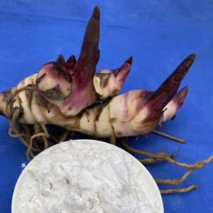 Poudre d'amidon d'arrowroot biologique la plus vendue, goût naturel pour l'alimentation et les ingrédients, emballée en sachet, provenant du Vietnam - Product Image 1