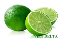 Citron vert sans graines, citron vert frais, agrumes en vrac, origine VIETNAM, disponible, citron vert/JONATHAN + 84766909341, vente en gros
