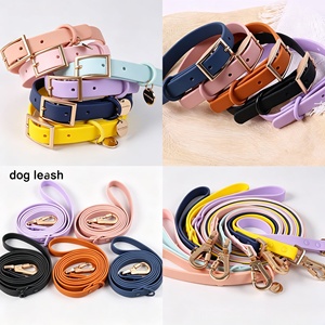 Collar y Correa para Perro de PVC Suave, Impermeable, con Placa de Identificación, Ajustable, de Lujo, al por Mayor - Product Image 3