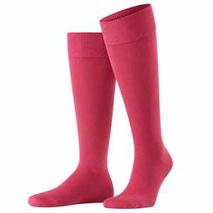Chaussettes Quotidiennes Premium : Confort Respirant, Construction Pratique, Usage Quotidien, Accessoire de Chaussure, Collection de Vêtements - Product Image 1