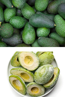 Gemaakt in Vietnam Topkwaliteit Groothandelsprijs GEVROREN AVOCADO IN HALEN Bulk levering