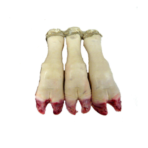 Patas de Res Congeladas al por Mayor, Halal, Cortadas al Largo, Grado Premium, IQF, Envasadas al Vacío para Exportación Global - Product Image 2