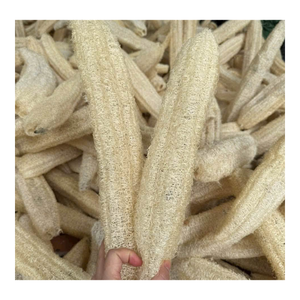 เวียดนามส่งออกฟองน้ำใยบวบธรรมชาติอบแห้ง ทำด้วยมือ ฟองน้ำทำความสะอาดและอาบน้ำแบบยั่งยืน รับผลิตแบบ OEM ODM ขายส่ง - Product Image 6