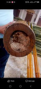 Cañas de Bambú Natural de Vietnam de Alta Calidad para Construcción y Decoración - Product Image 6